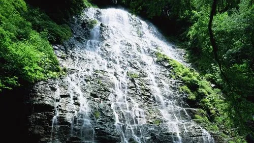 科技高效高端